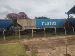 RUMO HPT-031195-2